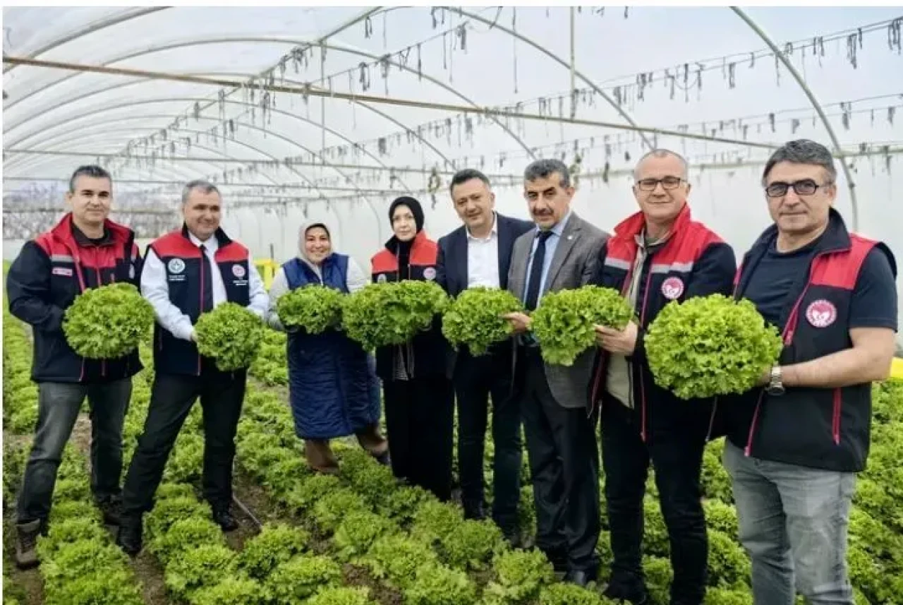Bursa'da ilaç kalıntısı olmayan gıda üretildi