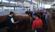 Hayvan pazarları kapatıldı!