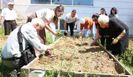 Nilüfer'de huzurevi sakinleri fidan dikti
