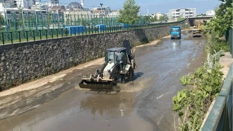 Vatandaş istedi Mandıras temizleniyor