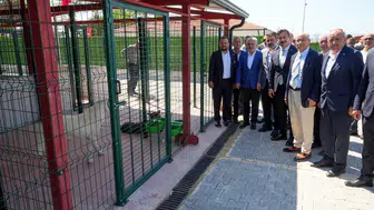Yenişehir'den can dostlara devasa bakımevi
