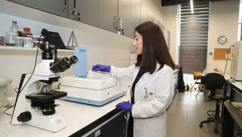 Zeytin dallarıyla kuraklığa çözüm