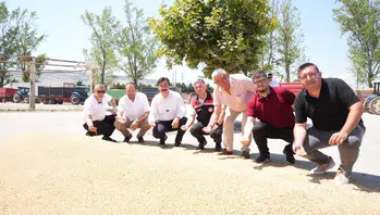 Yenişehir'de buğday alımı teyakkuzu