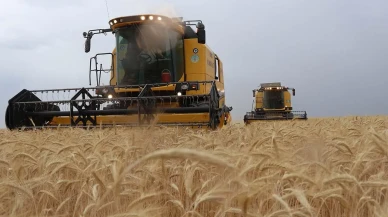 331,2 milyon TL tarımsal destek yattı