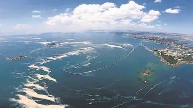 Marmara Denizi'ne sahip çıkmak tüm ülkenin sorumluluğudur