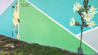 Uludağ'ın çiçekleri şehrin duvarlarında açtı
