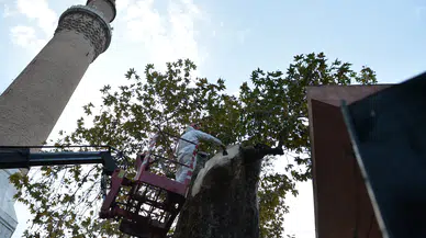 Bursa'nın 3 asırlık mirası koruma altına alındı