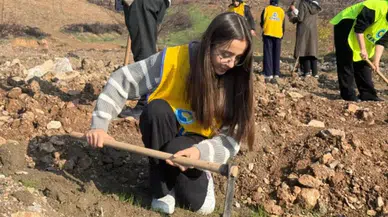 Gürsu'da yanan ormana 15 bin fidan dikildi