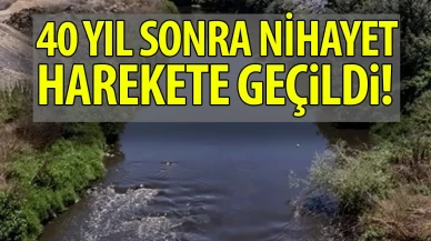 Nilüfer Çayı için güç birliği!