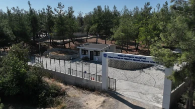 Can dostlara  yeni yuvalar kazandırıldı