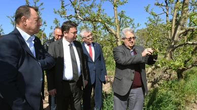 Aydın: "Zirai don fiyatların yükselmesine neden olacak"