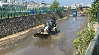 Vatandaş istedi Mandıras temizleniyor