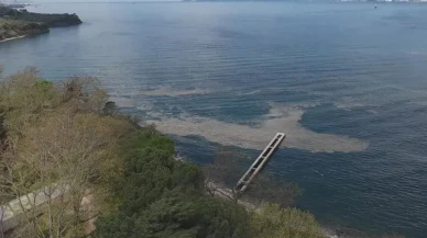 Müsilaj yeniden Gemlik Körfezi'nde!