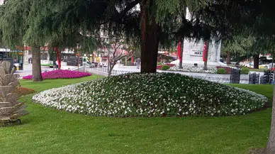 Bursa çiçek açtı