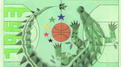 Basketbol sahalarını liseliler renklendirdi