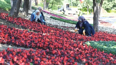 Osmangazi'de çiçek seferberliği