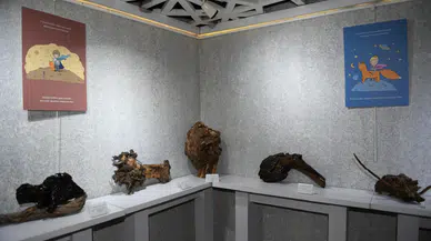 Dünyada ilk! Ölü ağaç  dalları sergisi açıldı