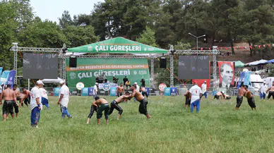 Çalı Güreşleri Yeşil Yeşil'in