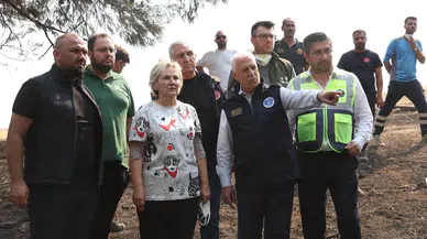 Bursa'da yanan bölgenin akıbetiyle ilgili açıklama