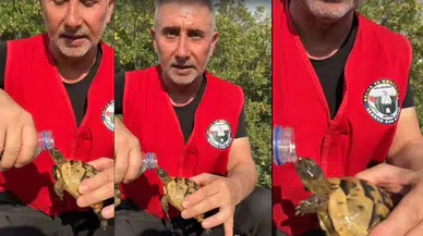 Yüreklere su serpen görüntü