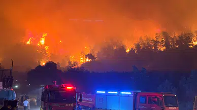Mudanya'da yangın nöbeti başlıyor