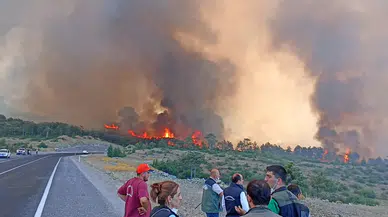 Bursa'daki yangınlar anlık takip edilecek