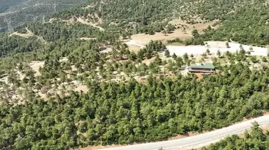 Gürsu'da kül temizliği