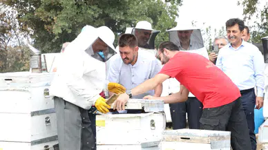 İnegöl balı Anzer'e yakın kalitede çıktı