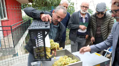 Üzüm üreticisinin işini kolaylaştıracak destek