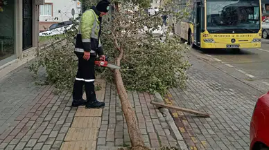 Bursa'da lodosa karşı ekipler sahada