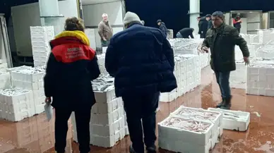 Bursa'da 150 kilo balığa el konuldu