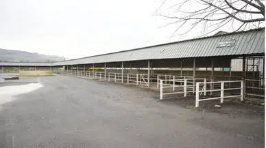 Şap riski bitti! Hayvan pazarı açıldı