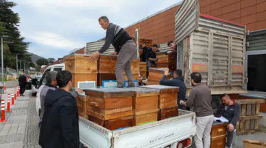 Bursa'da arıcılık canlanacak