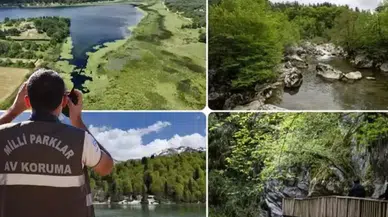Doğa Koruma Uzmanlığı için 'tez' zorunluluğu