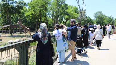 Bursa Hayvanat Bahçesi'ne bayramda ziyaretçi akını