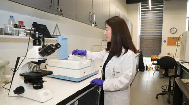 Zeytin dallarıyla kuraklığa çözüm
