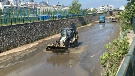 Vatandaş istedi Mandıras temizleniyor