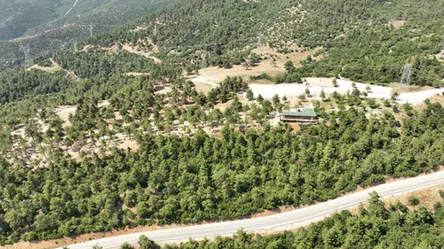 Yangın sonrası mesire alanı yeniden açılıyor
