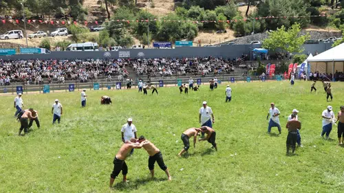 Çalı Güreşleri için geri sayım