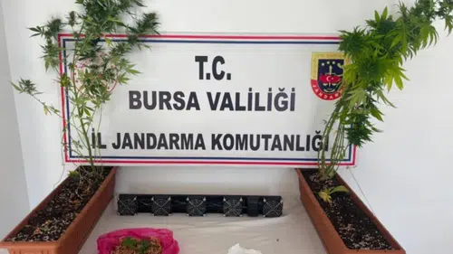 Bursa’da üç ilçede uyuşturucu operasyonu