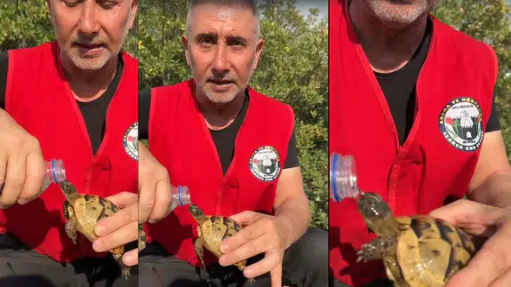 Yüreklere su serpen görüntü