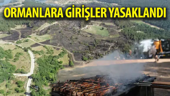 Bursa'da ormanlık alanlara girişler yasaklandı!