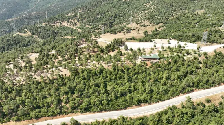 Yangın sonrası mesire alanı yeniden açılıyor