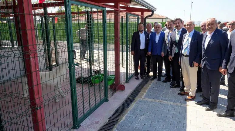 Yenişehir'den can dostlara devasa bakımevi