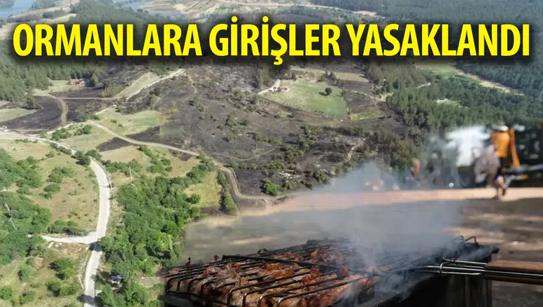 Bursa'da ormanlık alanlara girişler yasaklandı!